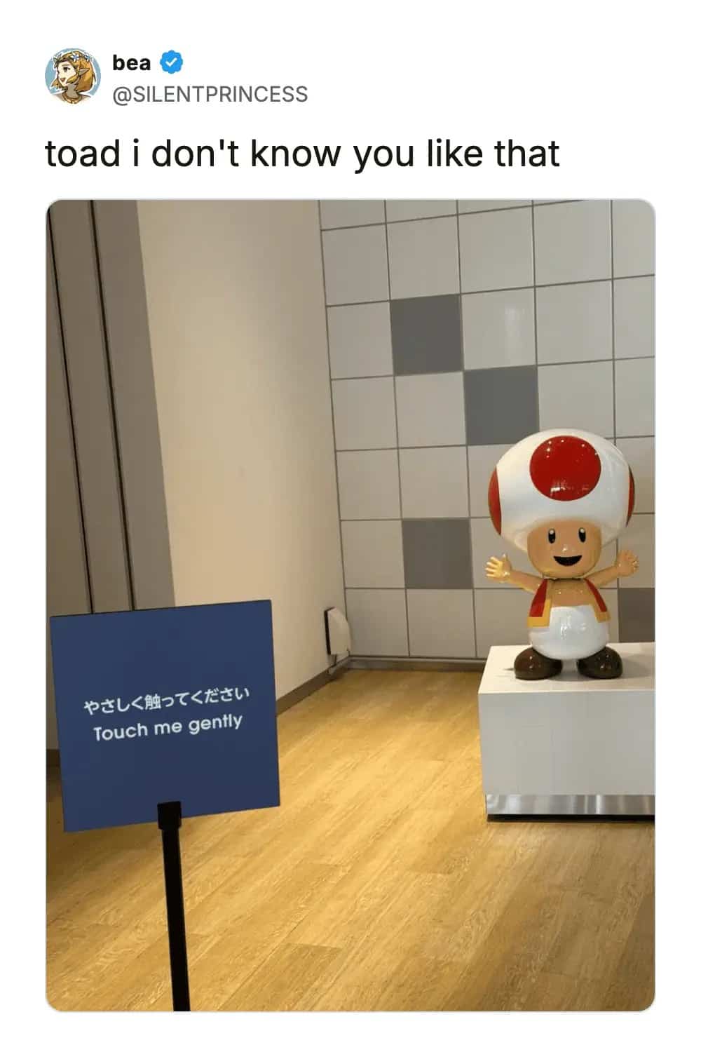 Toad from Mario statue next to a sign asking visitors to touch him gently.