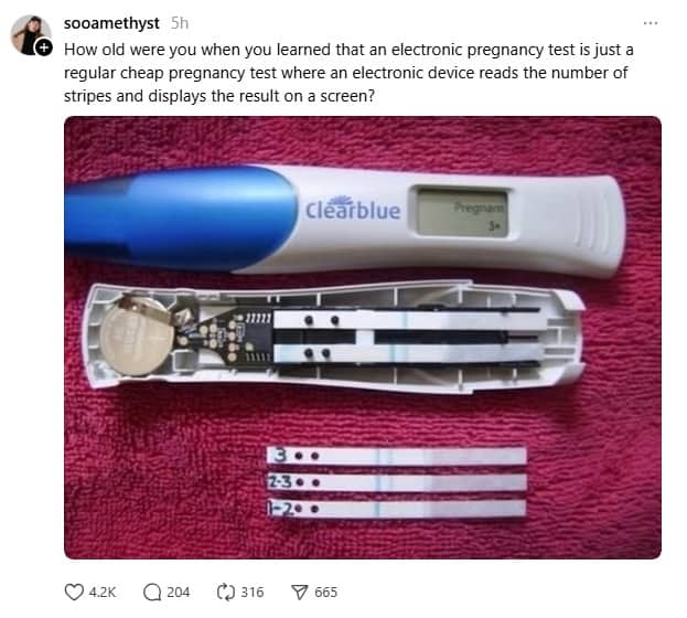 Disassembled electronic pregnancy test revealing standard paper strips inside the casing.