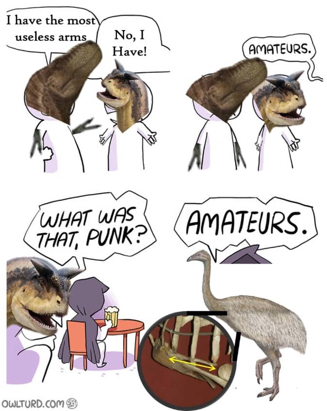 T-Rex and Carnotaurus comparing small arms interrupted by bird with tiny wing bone.