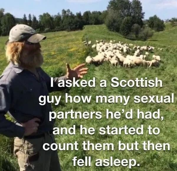 Man standing in field of sheep with joke about counting sexual partners funny pic.