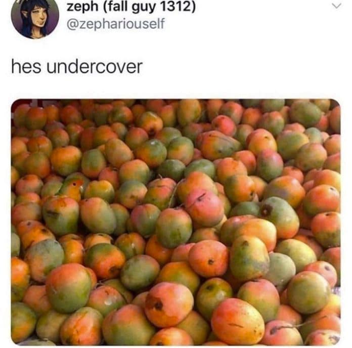 Small green and orange bird camouflaged inside a large pile of mangoes.
