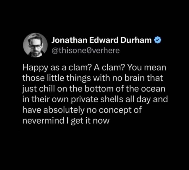 Tweet explaining the phrase happy as a clam relates to having no brain or worries.