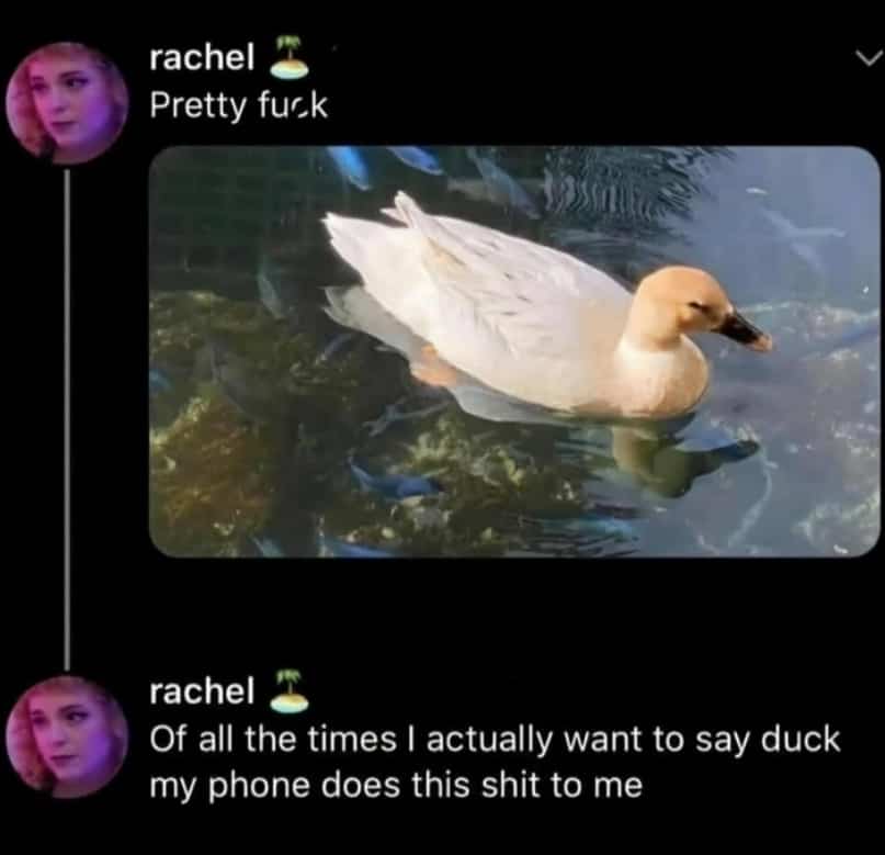 Autocorrect fails by changing the word duck to a profanity for once.
