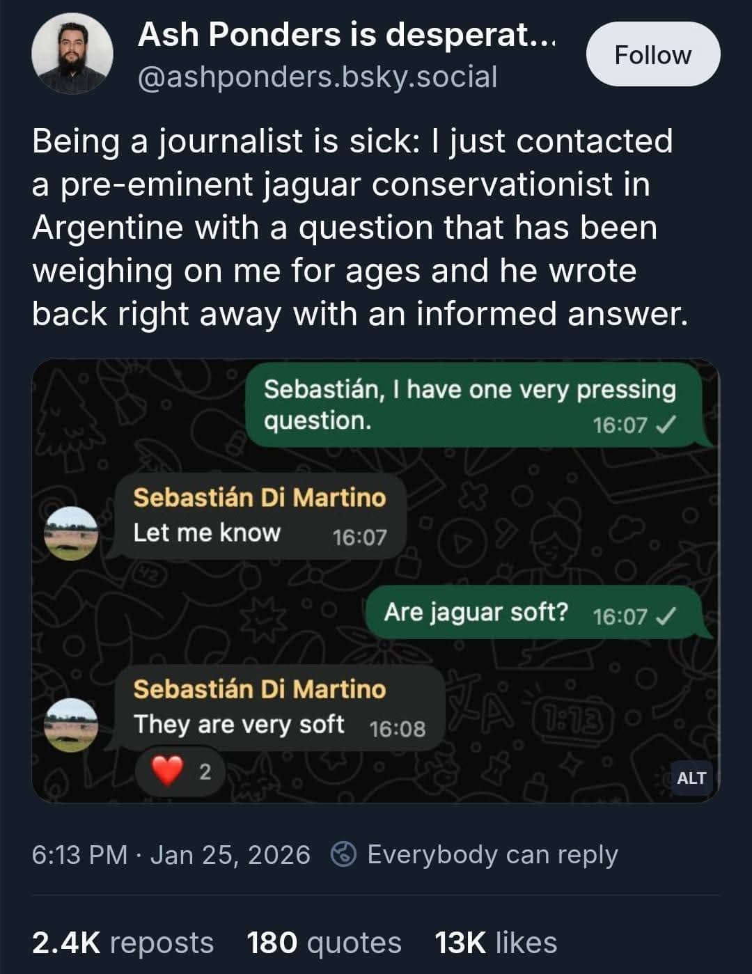Journalist texts expert asking if jaguars are soft and gets confirmation.
