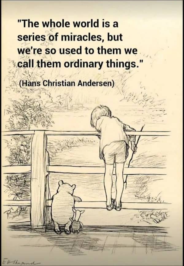 Sketch of Winnie the Pooh and Piglet looking over a bridge with a quote.