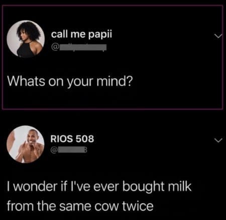 Twitter user posting a random shower thought wondering if they have ever bought milk from the same cow twice.