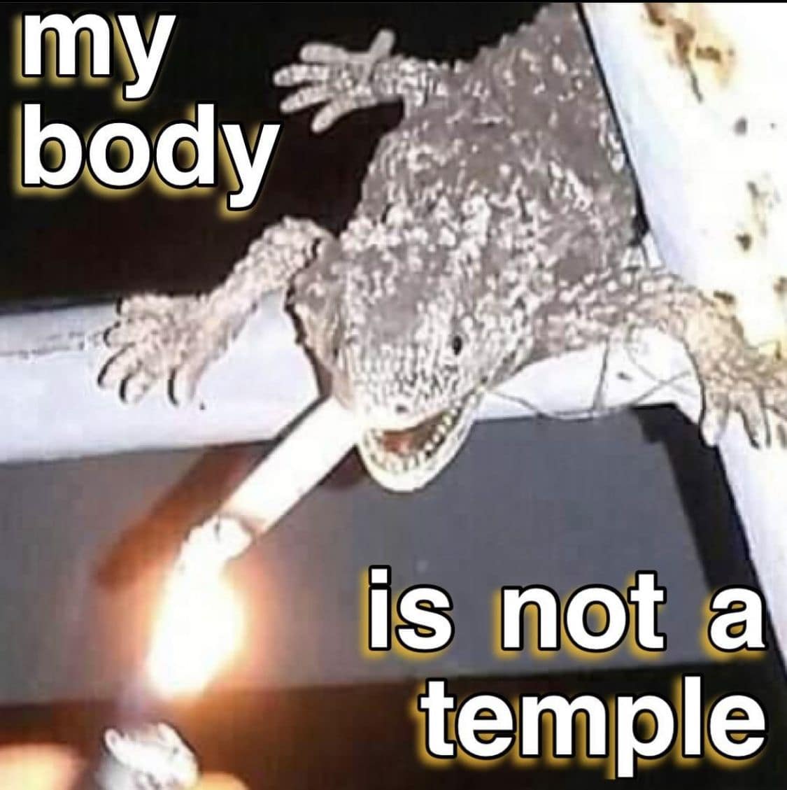 Lizard holding a cigarette in its mouth with caption my body is not a temple funny pic.