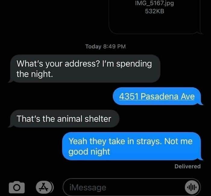 Text rejection giving animal shelter address to someone asking to spend the night.
