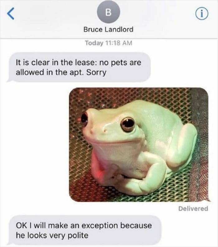 Landlord making exception to no pet policy for polite looking frog.