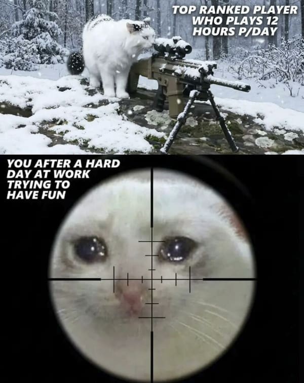 A gamer meme comparing a "top ranked" sniper cat in the snow to a crying cat representing a casual player trying to have fun after work.