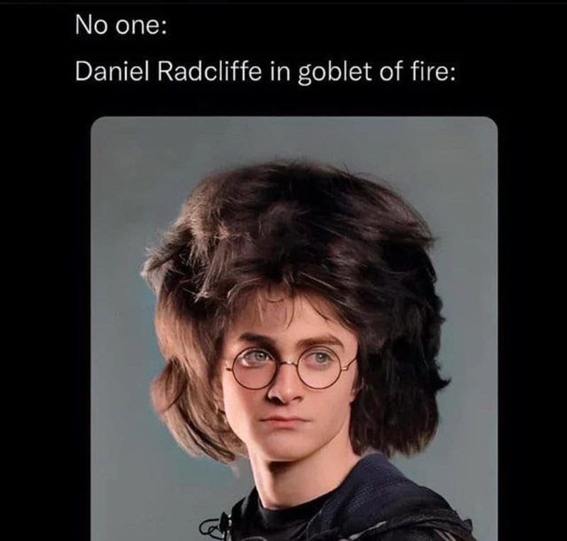A Harry Potter meme mocking Daniel Radcliffe's extremely large and fluffy hair in the movie Goblet of Fire.