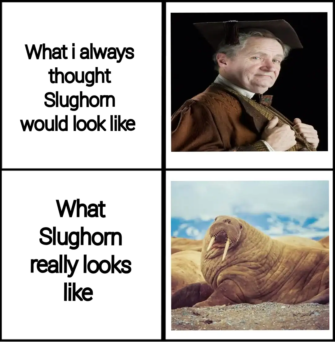 A Harry Potter meme comparing Professor Slughorn to a walrus based on his description in the books.