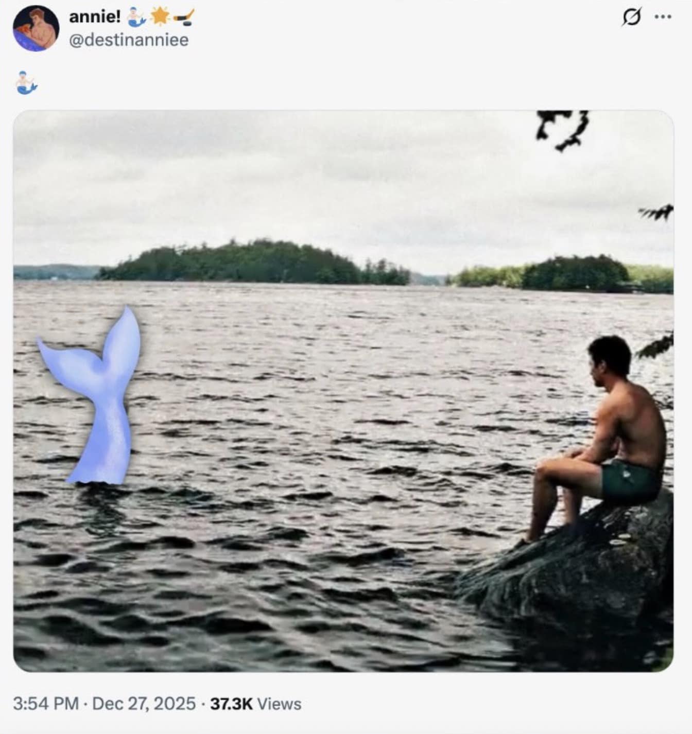 A Heated Rivalry meme tweet showing a man sitting on a rock by a lake with a cartoon mermaid tail edited into the water.