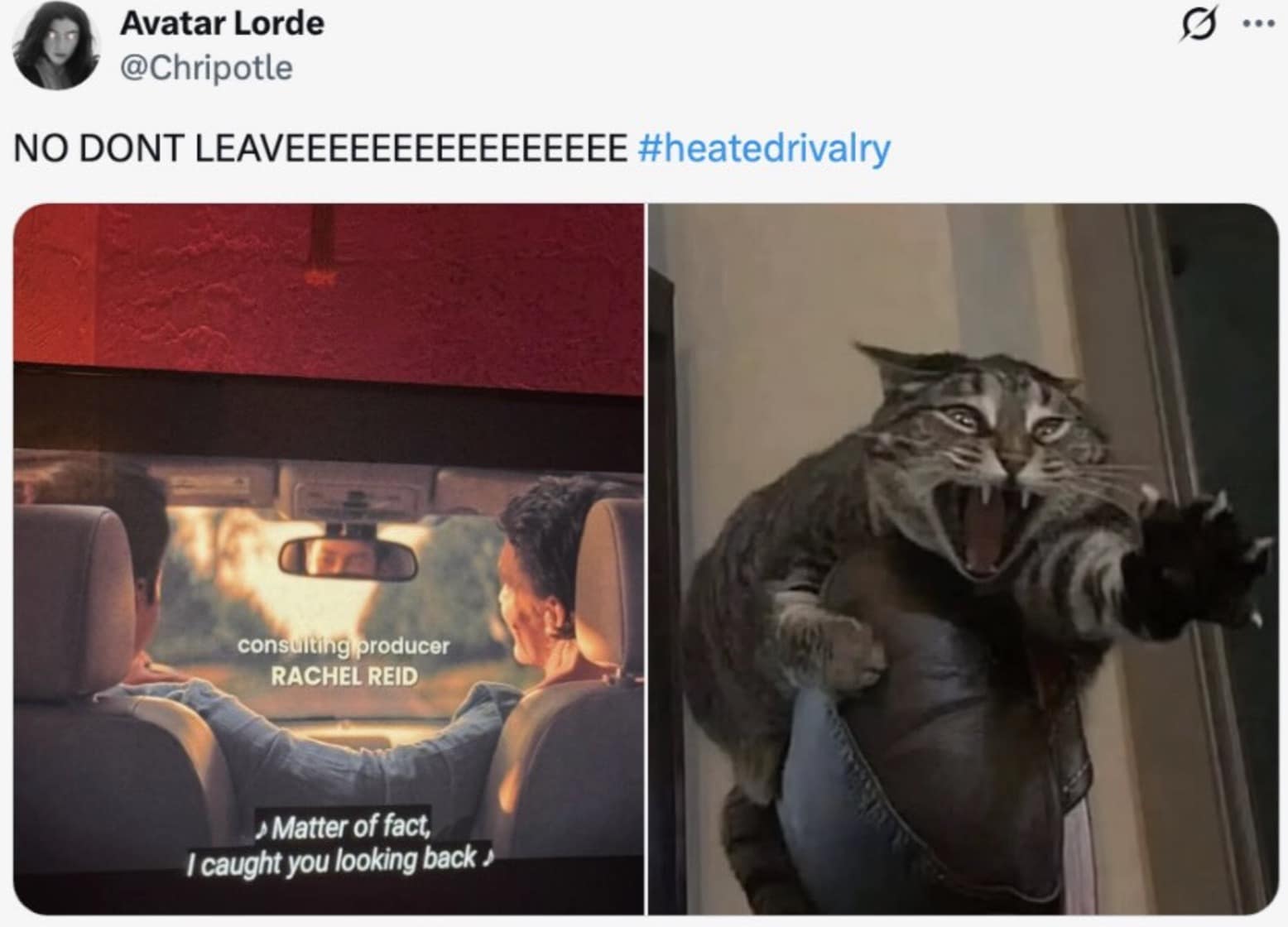 A Heated Rivalry meme tweet referring to a "gay hockey christmas" event bringing the fandom together during a miserable year.