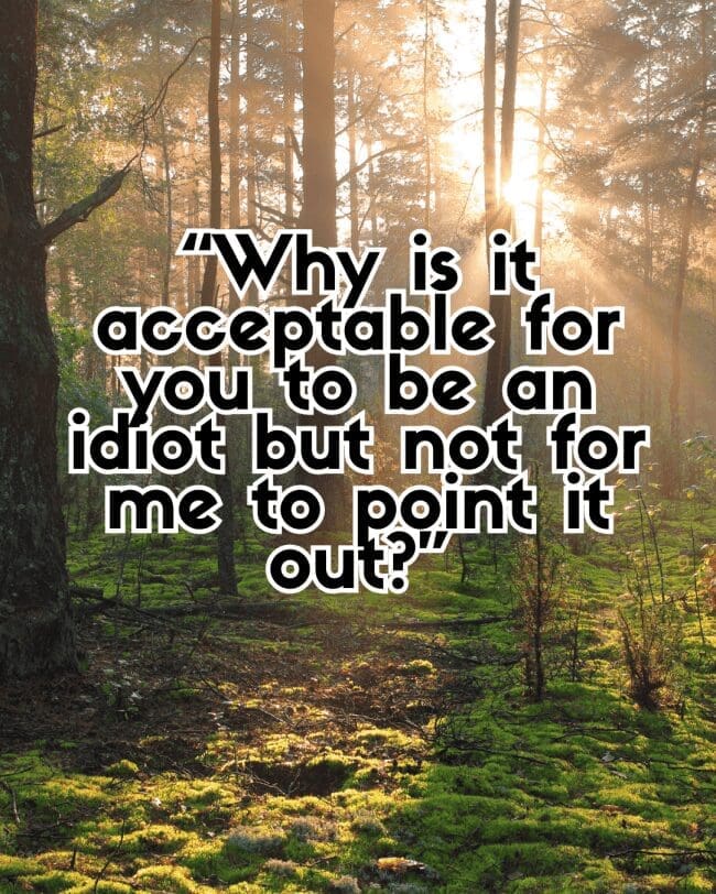 Sunlight streaming through a forest with text asking why pointing out an idiot is unacceptable.
