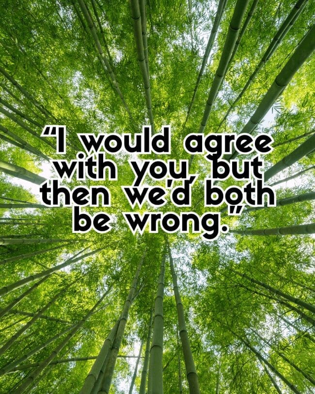View looking up at bamboo trees with text saying agreeing would make both people wrong.