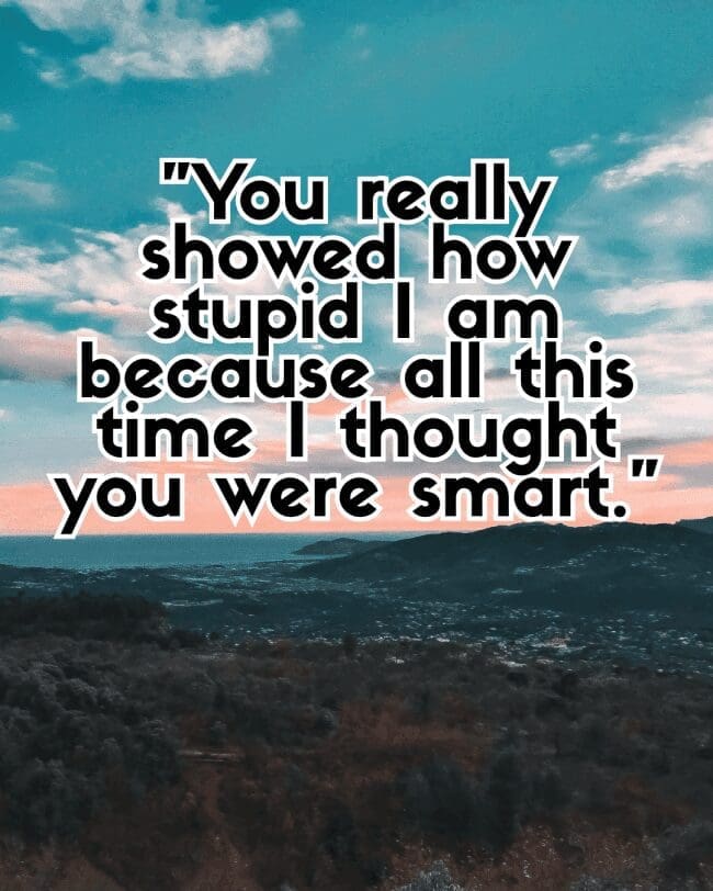 Coastal landscape at twilight with text about mistakenly thinking someone was smart.