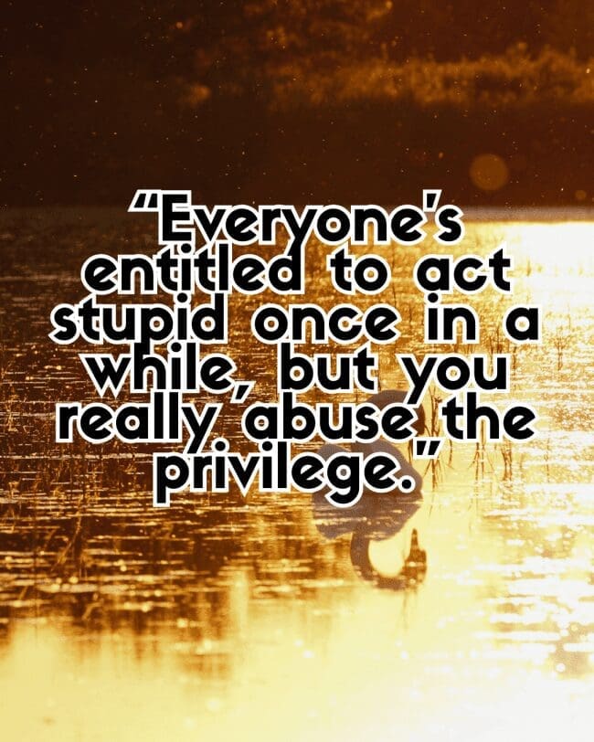 Golden sunset over a lake with text about abusing the privilege of acting stupid.