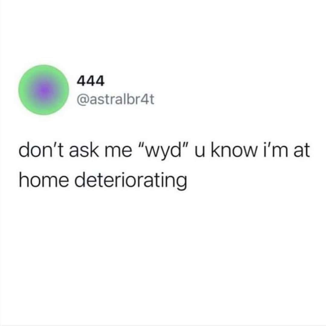 Introvert meme of a tweet telling people not to ask “wyd” because you’re at home deteriorating.