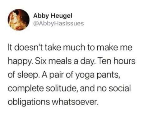 Introvert meme of a tweet listing simple needs like six meals, ten hours of sleep, yoga pants, solitude, and no social obligations.