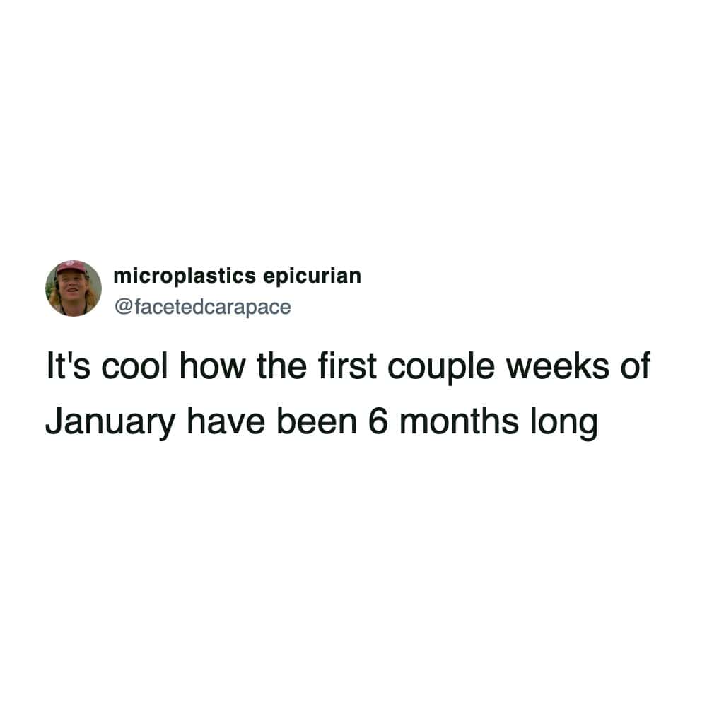 Sarcastic tweet noting the first two weeks of January felt like six months.