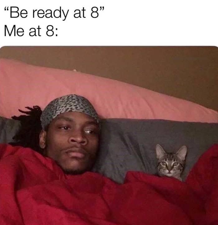 Man and cat lying in bed meme about not being ready at 8.