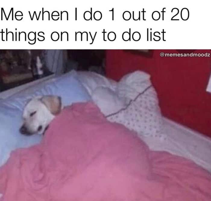Dog sleeping in bed meme after doing one item on to-do list.