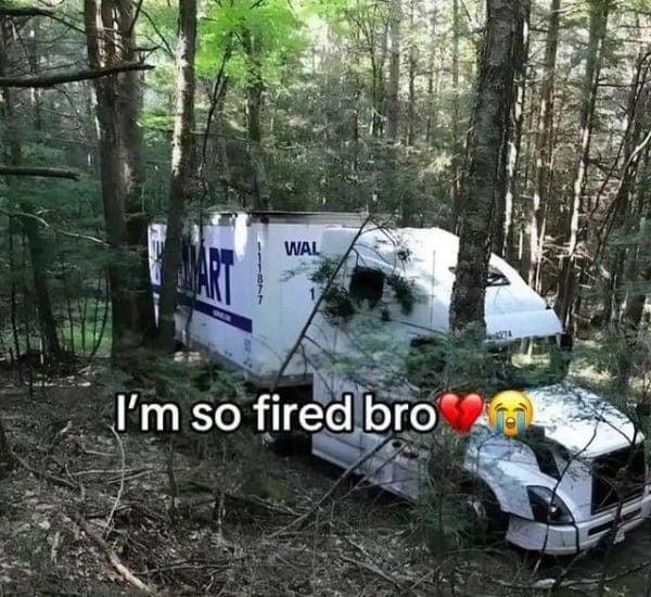 Walmart semi-truck hopelessly stuck in a dense forest off-road with a sad caption.