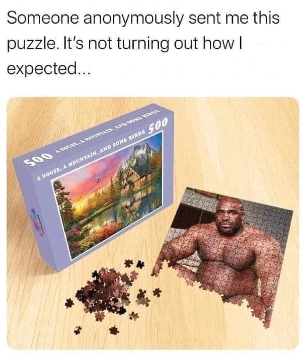Prank puzzle where the pieces form a viral meme instead of the landscape.