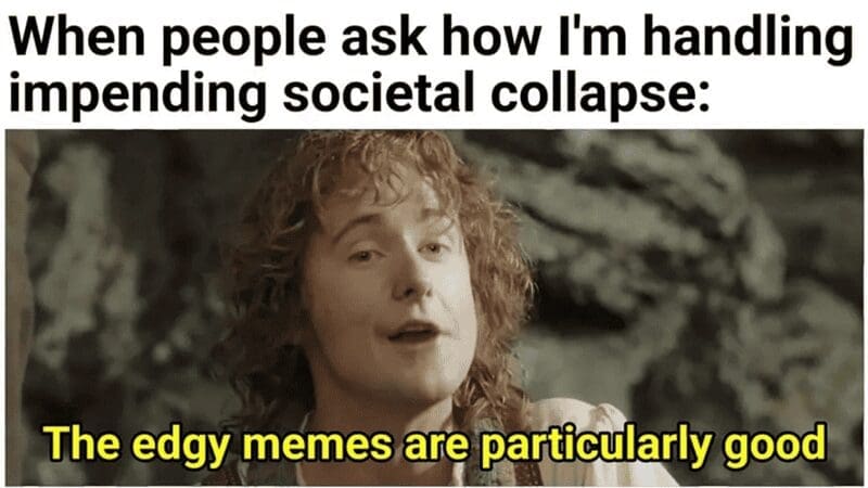 A Lord of the Rings meme featuring Pippin saying "The edgy memes are particularly good" instead of "salted pork."