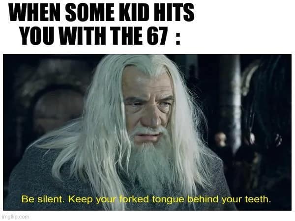 A lotr meme of Gandalf telling someone to keep their forked tongue behind their teeth in response to slang