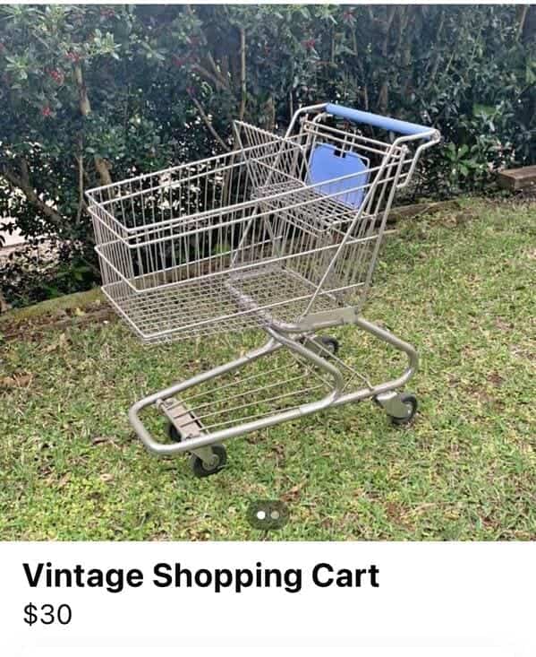 Vintage metal shopping cart listed for sale on grass for thirty dollars.