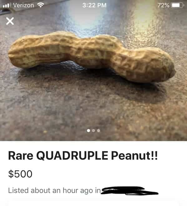Long quadruple peanut shell resting on a counter listed for five hundred dollars.