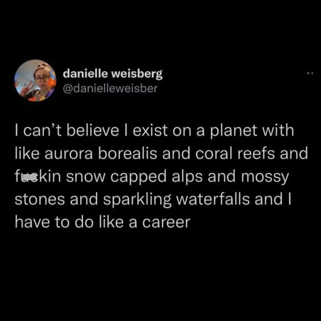 A hilarious meme tweet by Danielle complaining about having to work a career instead of just existing in nature.