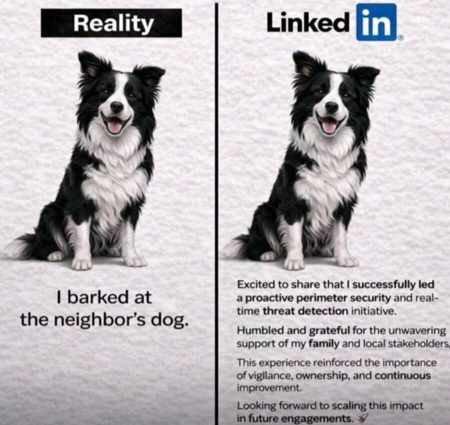 A funny meme comparing a dog "barking at the neighbor's dog" to the corporate LinkedIn description of "proactive perimeter security."