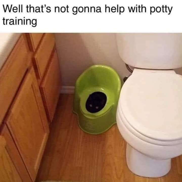 A funny meme showing a black cat sitting comfortably inside a toddler's potty training seat, making training impossible