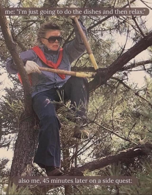 A funny meme of a woman in sunglasses climbing a tree with large sticks captioned about getting side tracked