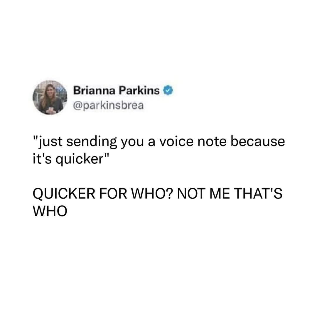 A funny meme tweet complaining about people who send voice notes because it is quicker.