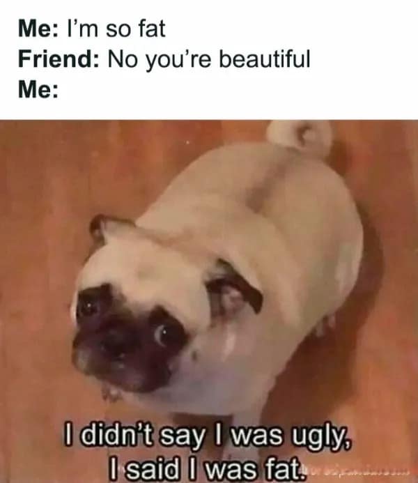 A hilarious meme of a pug looking shocked with text clarifying the difference between being fat and ugly.