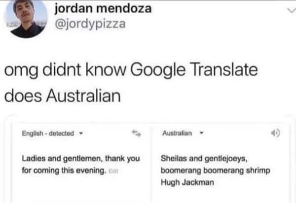 A funny meme showing a fake Google Translate result translating English into stereotypical Australian slang.