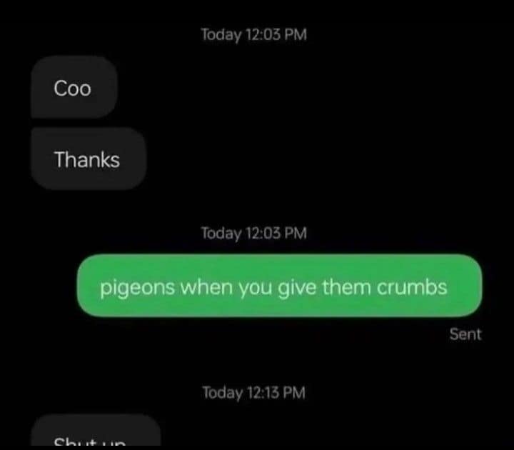 A meme dump text message screenshot where someone makes a pun about pigeons saying "Coo" instead of "Cool."