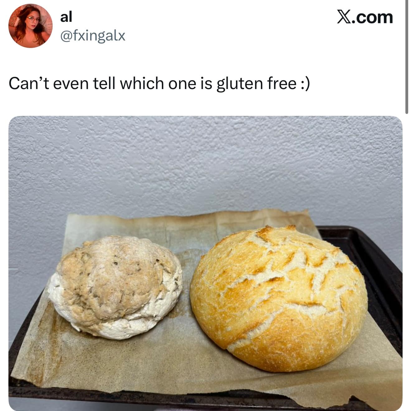 A photo comparing a rock to a gluten free bread roll that looks exactly the same.