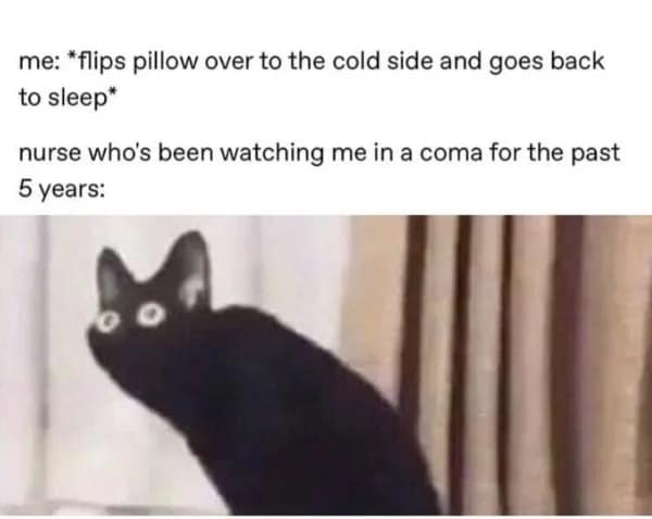 A funny meme showing a shocked black cat representing a nurse watching a coma patient wake up just to flip a pillow.