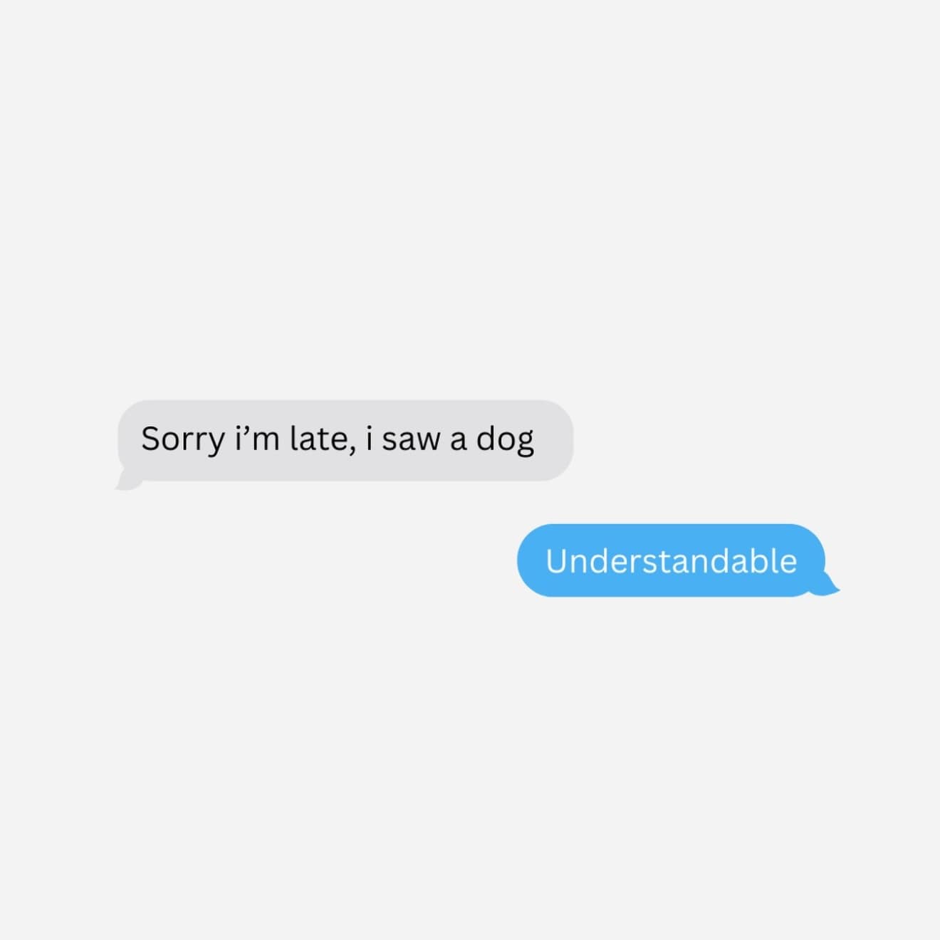 A hilarious meme text conversation accepting seeing a dog as a valid excuse for being late.