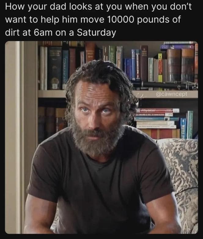 A hilarious meme using Rick Grimes from Walking Dead to represent a dad wanting help with yard work.