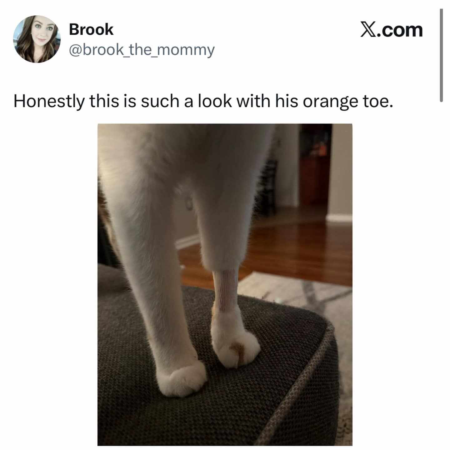 A funny meme photo of a cat with white legs and one single patch of orange fur on its toe that looks like a tattoo.