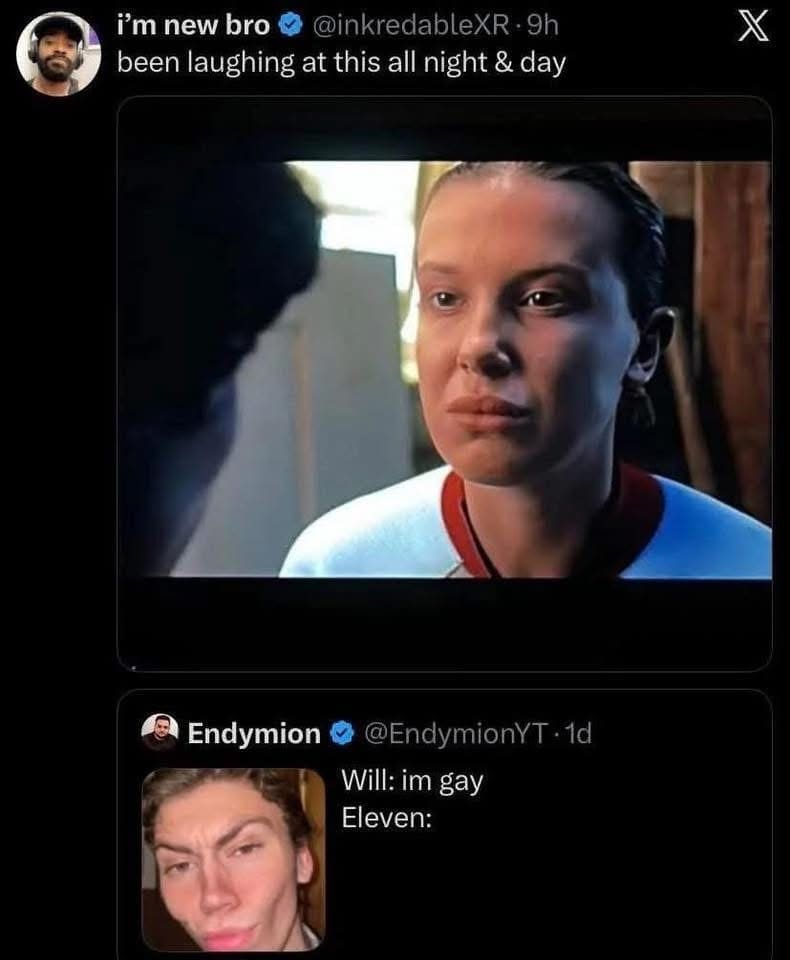 A funny Stranger Things meme showing Eleven reacting with a chin face to Will coming out.