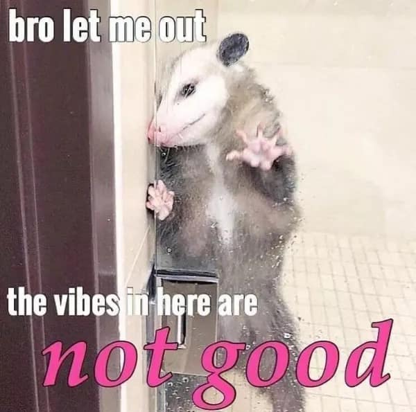 A funny meme of a wet opossum pressed against glass saying the vibes are not good.