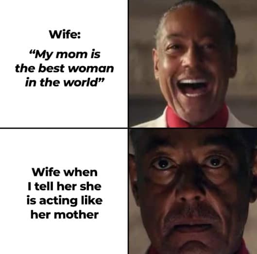 A hilarious meme using Gus Fring to compare a wife praising her mom vs acting like her mom.