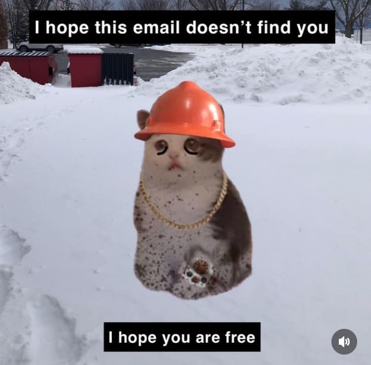 A funny meme of a sad cat wearing a hard hat edited into a snowy parking lot with the text "I hope this email doesn't find you."
